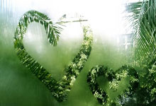  格列兹曼赛点兑现，山东泰山淘汰山东泰山晋级四强，主帅激动落泪